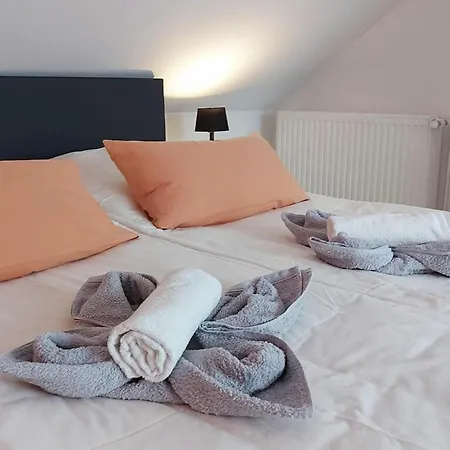 度假居 Roschi's Gaestehaus